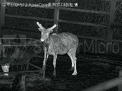 wKgZPGlTifaACuNFAAGbJIM503s483.png