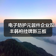 电子防护元器件企业双丰韩柏挂牌新三板（图1）