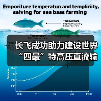 长飞成功助力建设世界“四最”特高压直流输电工程(图4) 长飞成功助力建设世界“四最”特高压直流输电工程(图4)