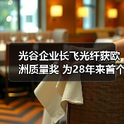 光谷企业长飞光纤获欧洲质量奖 为28年来首个中国企业(图3) 光谷企业长飞光纤获欧洲质量奖 为28年来首个中国企业(图3)