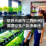 铭普光磁在江西抚州投资建设生产制造基地（图4）