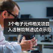 3个电子元件相关项目入选智能制造试点示范项目（图3）