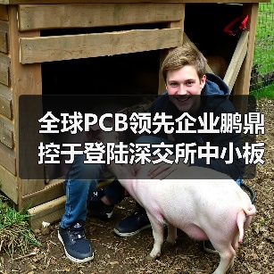 全球PCB领先企业鹏鼎控于登陆深交所中小板上市（图4）
