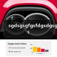 sgdsgsgfgsfdgsdgsgs（图4）