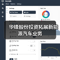 华锋股份投资拓展新能源汽车业务（图3）