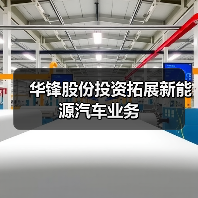 华锋股份投资拓展新能源汽车业务（图4）