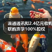 瀛通通讯拟2.4亿元收购联韵声学100%股权（图3）