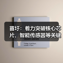 苗圩：着力突破核心芯片、智能传感器等关键技术（图4）