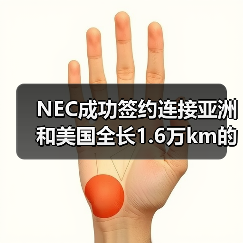 NEC成功签约连接亚洲和美国全长1.6万km的海底光缆(图3) NEC成功签约连接亚洲和美国全长1.6万km的海底光缆(图3)