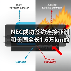 NEC成功签约连接亚洲和美国全长1.6万km的海底光缆(图4) NEC成功签约连接亚洲和美国全长1.6万km的海底光缆(图4)
