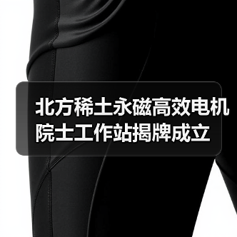 北方稀土永磁高效电机院士工作站揭牌成立（图1）