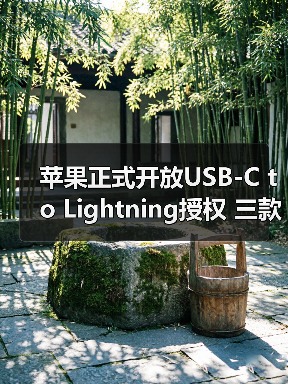 苹果正式开放USB-C to Lightning授权 三款新iPhone全部标配（图1）