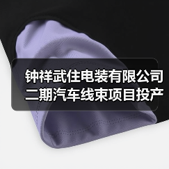 钟祥武住电装有限公司二期汽车线束项目投产（图4）
