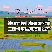 钟祥武住电装有限公司二期汽车线束项目投产（图3）