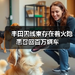 丰田因线束存在着火隐患召回百万辆车（图2）