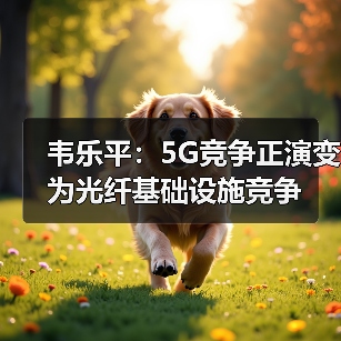 韦乐平：5G竞争正演变为光纤基础设施竞争（图4）