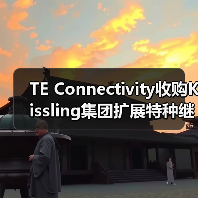 TE Connectivity收购Kissling集团扩展特种继电器产品组合(图3) TE Connectivity收购Kissling集团扩展特种继电器产品组合(图3)