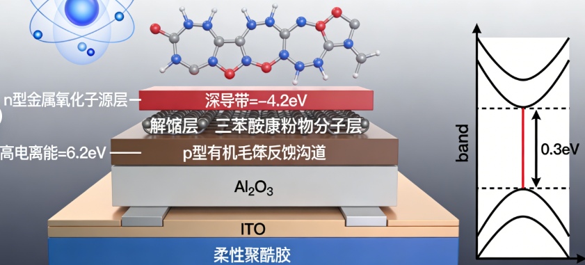 突破理论极限！苏州大学团队创制全新有机隧穿晶体管，开启超低功耗柔性电子新纪元(图1)